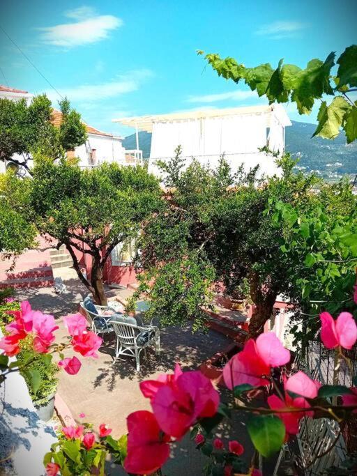Duka'S Gardenhouse Villa Skopelos Town Bagian luar foto
